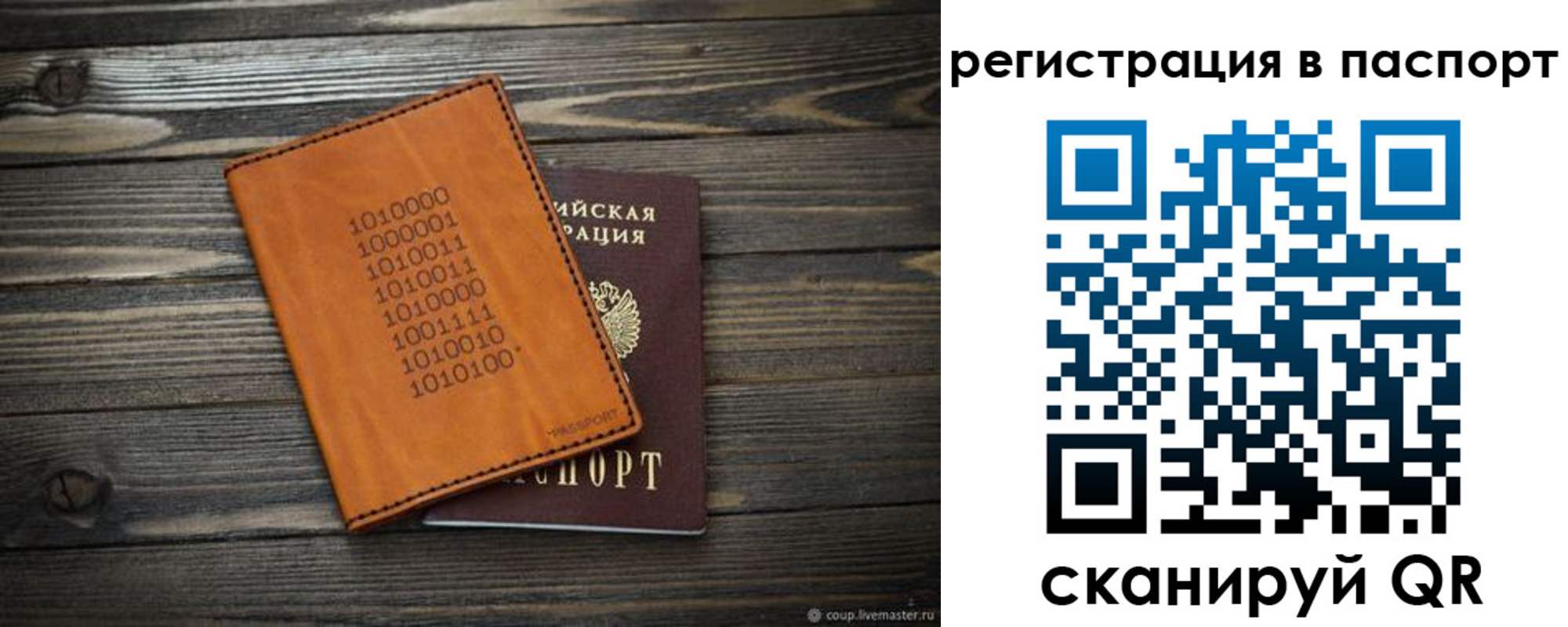 прописка для школы в Белой Холунице